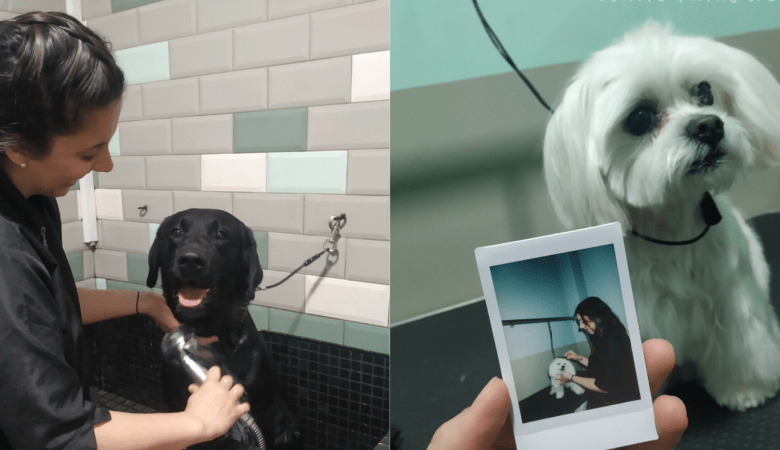 ¿POR QUÉ ME HICE PELUQUERA CANINA?