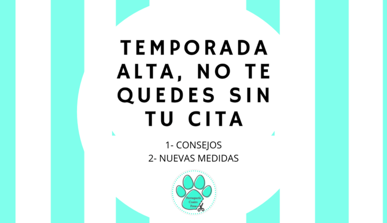 EMPIEZA LA TEMPORADA ALTA EN PERRUQUERÍA CUATRO PATAS